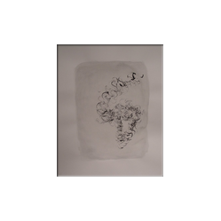 s�quence 34/2, gouache, cm 63x50